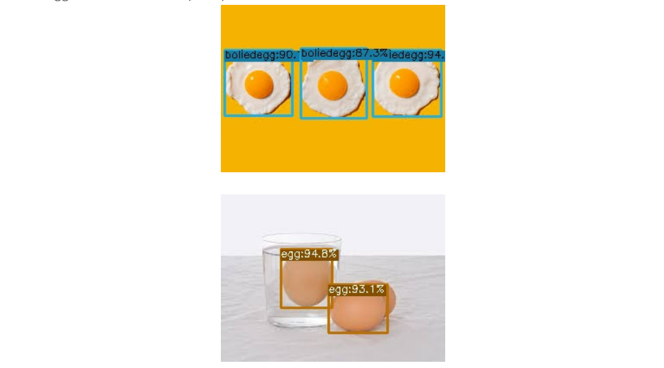 YOLOX 기반 객체 탐지 프로젝트 결과 화면